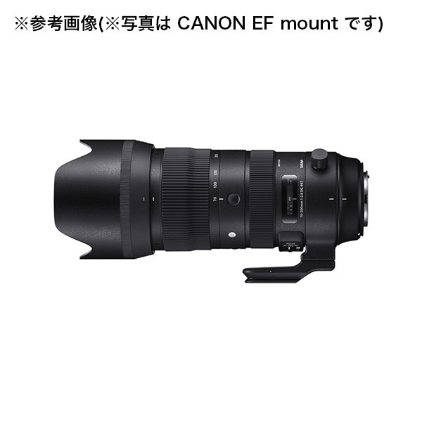 SIGMA(シグマ) 一眼レフカメラ用ズームレンズ 70-200mm F2.8 DG OS HSM