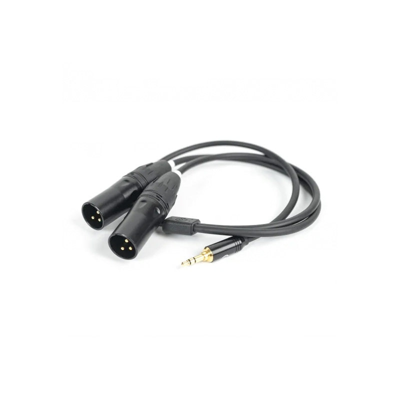 HOLLYLAND(ホーリーランド) 変換ケーブル 3.5mm TRS to Dual XLR Audio Cable HL-XLR02