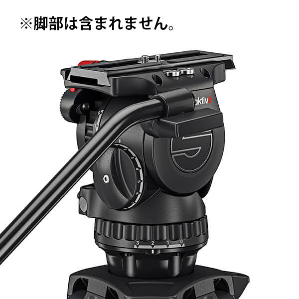 Sachtler 75mm head (without tripod) aktiv6 (S2064S)