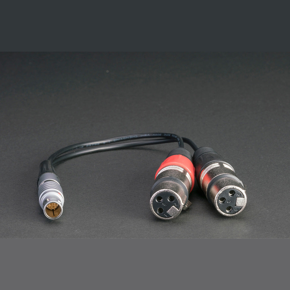 ATOMOS(アトモス) XLRオーディオブレイクアウトケーブル XLR Breakout Cable Input only ATOMCAB017