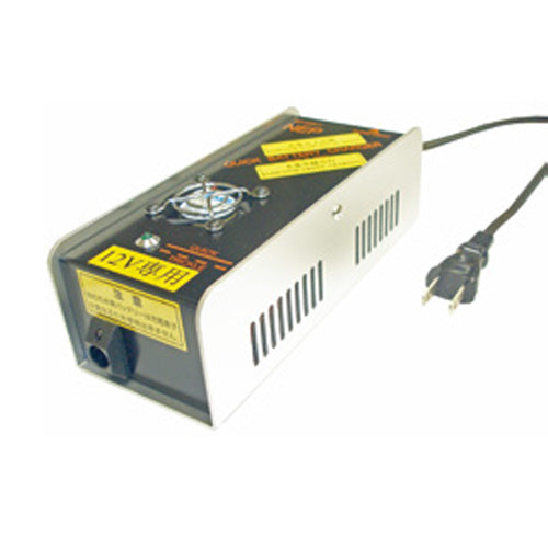 NEP BP battery charger NP-800-12V-1